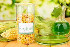 Bisterne Close biofuel availability